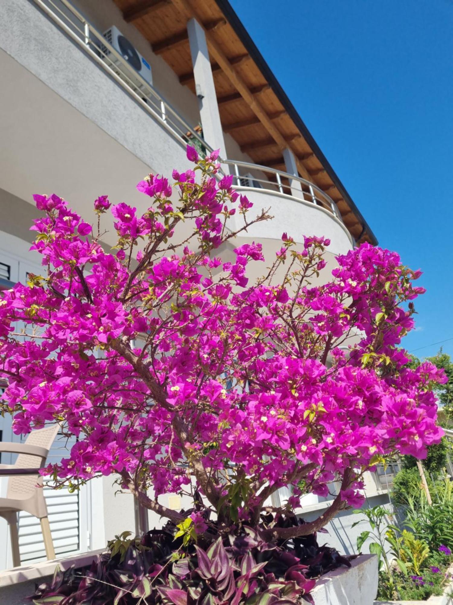 Vila Soleil วญอเรอ ภายนอก รูปภาพ