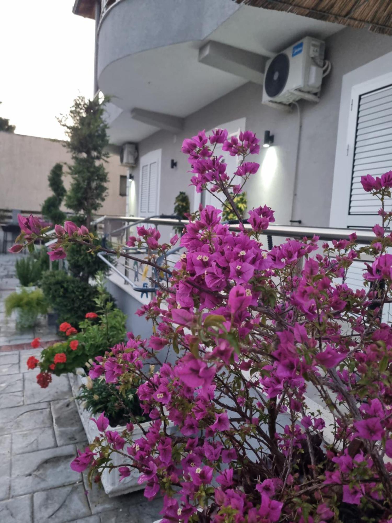 Vila Soleil วญอเรอ ภายนอก รูปภาพ